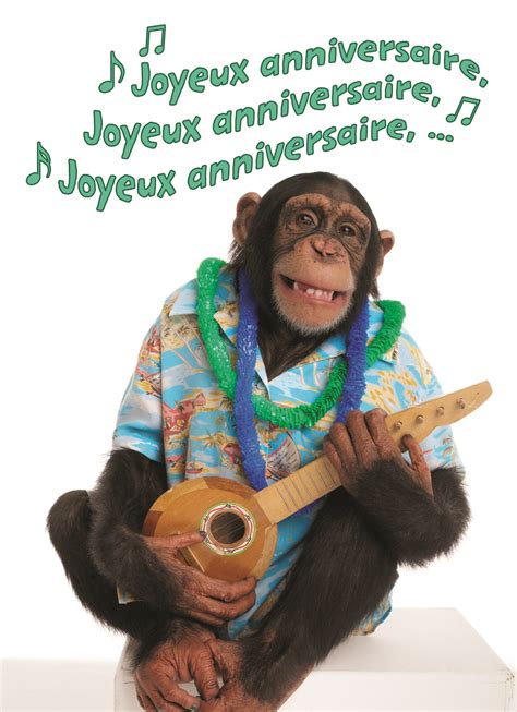 gif joyeux anniversaire humour pour femme|180 meilleures idées sur Gif joyeux anniversaire 